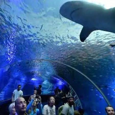 Апартаменты Le Des Remparts - Face De *